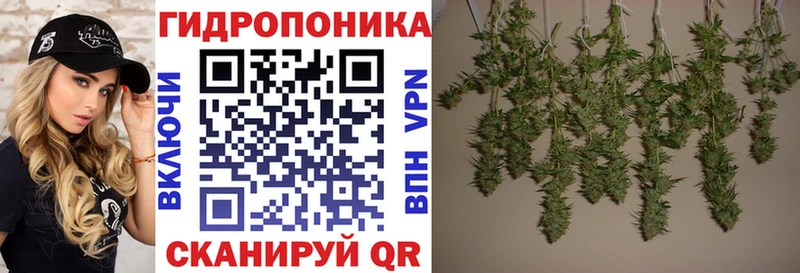 Купить наркотики Талдом Экстази  Псилоцибиновые грибы  Марихуана  Кокаин  МЕФ  Alpha PVP 