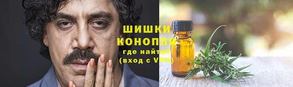 стаф Абаза