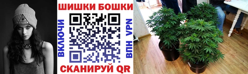 Шишки марихуана SATIVA & INDICA  где можно купить   Талдом 